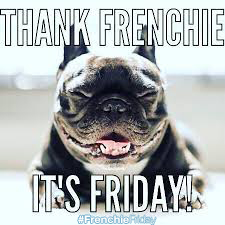 All our #FrenchieFriday posts and #FrenchieDot Posts – Plymouth ...